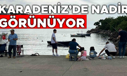 AKÇAKOCA’DA BALIKÇILARIN OLTASINA BAKIN NE TAKILDI?