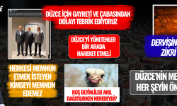 TSO, DESOB NE İŞE YARIYOR?
