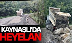 DÜZCE’DEKİ AŞIRI YAĞIŞLAR HEYELANA NEDEN OLDU