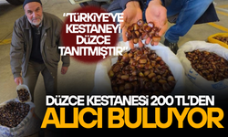 DÜZCE'NİN COĞRAFİ İŞARETLİ KUZU KESTANESİ TEZGAHLARDAKİ YERİNİ ALDI