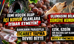 KIZDIRMAYIN DELİYİ SÖYLETMEYİN DOĞRUYU