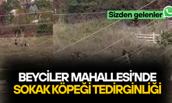 “ÇOCUKLARA VE KADINLARA SALDIRIYORLAR”