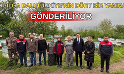 YIĞILCALI BALCILAR SAF BAL İÇİN ARILARINA EVLATLARI GİBİ BAKIYOR