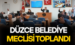 DÜZCE LOJİSTİK MERKEZİ VE TIR PARKI PROJESİ’NE MARKA’DAN 650 BİN TL HİBE