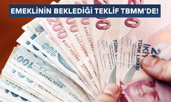KABUL EDİLİRSE HER AY 25 BİN TL ALACAKLAR