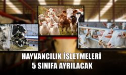 FİZİKİ ALTYAPI VE BİYOGÜVENLİK ŞARTLARINA GÖRE SINIFLANDIRILACAK