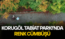 DOĞA HARİKASI PARK ZİYARETÇİLERİNİ SONBAHAR MANZARASIYLA AĞIRLIYOR