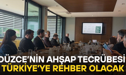 DÜZCE AHŞAP YAPILARDA PİLOT KENT SEÇİLDİ