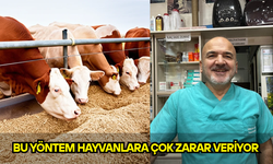 SİLAJ KULLANIMINDA UZMANINDAN ÖNEMLİ UYARILAR