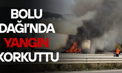 TIR ALEVLERE TESLİM OLDU