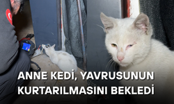 KEDİ YAVRUSUNU İTFAİYE ERLERİ KURTARDI