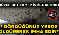 MÜCADELE ÇALIŞMALARI DÖRT KOLDAN SÜRÜYOR