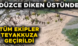 ŞİDDETLİ YAĞIŞLAR YOLLARI DERE YATAĞINA ÇEVİRDİ