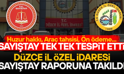 DÜZCE İL ÖZEL İDARESİ SAYIŞTAY'IN RADARINDA