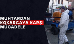 MAHALLE SOKAKLARINDA İLAÇLAMA YAPTI