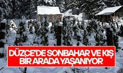 YÜKSEK KESİMLERDE KAR KALINLIĞI 30 SANTİMETREYE ULAŞTI