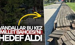 KAMU MALINA VERİLEN ZARAR DÜZCELİLERİN TEPKİSİNİ ÇEKTİ