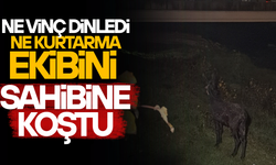 ASAR DERESİ’NE DÜŞEN EŞEĞİN SAHİBİNE SEVGİSİ GÜLÜMSETTİ
