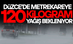 BAKAN ÇİFTÇİ DÜZCE İÇİN YAĞIŞ UYARISINDA BULUNDU