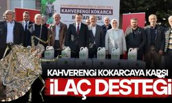 DÜZCE’DE KAHVERENGİ KOKARCA ZARARLISIYLA MÜCADELE DEVAM EDİYOR