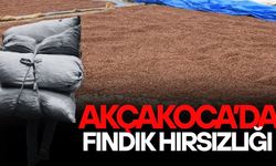 POLİS EKİPLERİ HAREKETE GEÇTİ, GÜVENLİK KAMERALARI İNCELENİYOR