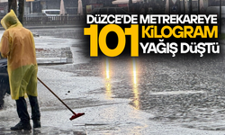 DÜZCE'DE YAĞIŞIN BİLANÇOSU ORTAYA ÇIKTI: İŞTE İLÇE İLÇE RAKAMLAR