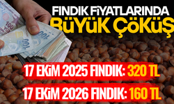 1 YILDA, 1 TON FINDIKTA 160 BİN TL'LİK FARK OLUŞTU