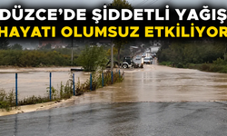 DEERE TAŞTI, YOLLAR GÖLE DÖNDÜ