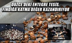YAKLAŞIK 200 TON FINDIK İŞLENDİ