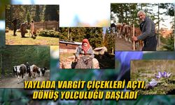 YAYLACILAR, YENİDEN KÖYLERİNE DÖNÜYOR