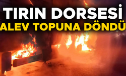 İTFAİYE EKİPLERİ ÇIKAN YANGINI GÜÇLÜKLE SÖNDÜRDÜ