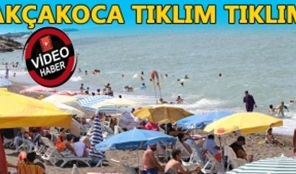 AKÇAKOCA TIKLIM TIKLIM