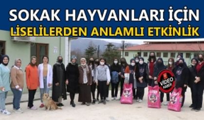 SOKAK HAYVANLARI İÇİN ANLAMLI ETKİNLİK