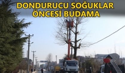 ÖNCELİK SÜRÜCÜ VE YAYA GÜVENLİĞİ