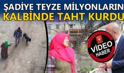 ŞADİYE TEYZE MİLYONLARIN KALBİNDE TAHT KURDU: KÖPEĞİ DÖVEN ŞAHSA TEPKİSİYLE HAFIZALARA KAZINDI