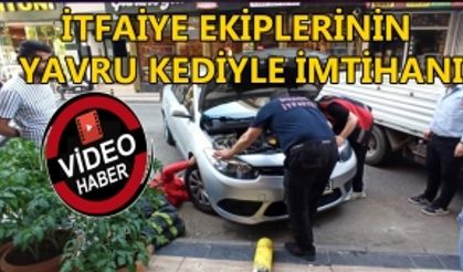 İTFAİYE EKİPLERİNİN YAVRU KEDİYLE İMTİHANI