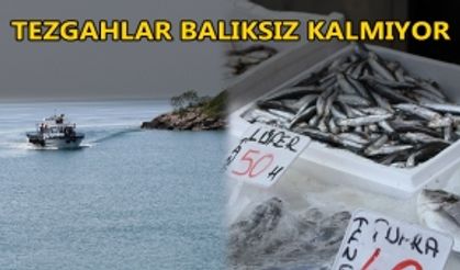 FİYATLAR ŞİMDİLİK CEP YAKIYOR