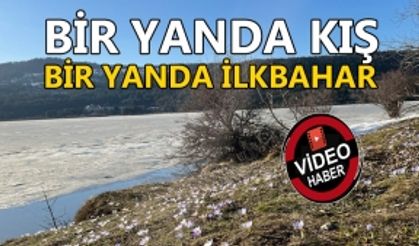 BİR YANDA KIŞ, BİR YANDA İLKBAHAR