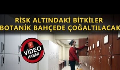 DÜZCE’DEKİ HERBARYUM 10 BİN BİTKİ TÜRÜ BARINDIRIYOR