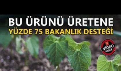 DÜZCE’NİN VERİMLİ TOPRAKLARI İÇİN YENİ PROJE