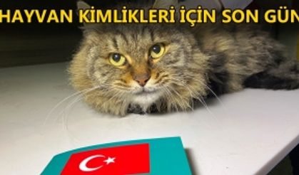 ÇİP VE KİMLİK İŞLERİ TAMAMLANACAK