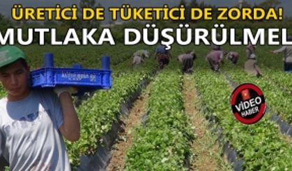 ÜRETİCİ DE TÜKETİCİ DE ZORDA: ‘MUTLAKA DÜŞÜRÜLMELİ