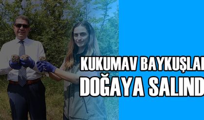 KUKUMAV BAYKUŞLAR DOĞAYA SALINDI