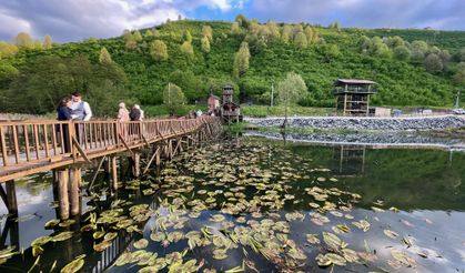 EFTENİ GÖLÜ KUŞ CENNETİ