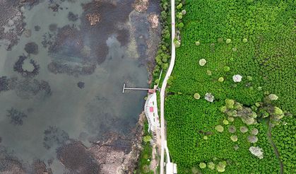 EFTENİ KUŞ CENNETİ GÖLÜ ZİYARETÇİLERİNİ AĞIRLIYOR