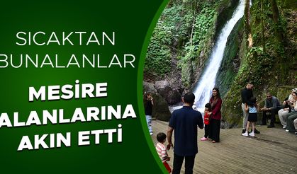 DÜZCE’NİN DOĞAL GÜZELLİKLERİ KURBAN BAYRAMINDA İLGİ ODAĞI OLDU