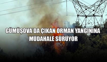 SÜBEKCİ: YANGININ YÜKSEK GERİLİM HATTINDAN BAŞLADIĞINI DÜŞÜNÜYORUZ