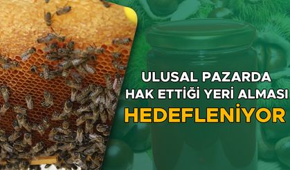 YIĞILCA KESTANE BALI İÇİN COĞRAFİ İŞARET BAŞVURUSU YAPILDI