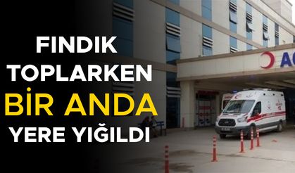 FINDIK İŞÇİSİ KALDIRILDIĞI HASTANEDE TEDAVİ ALTINA ALINDI