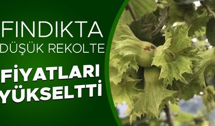 ÜRETİCİLER SERBEST PİYASAYA YÖNELDİ…